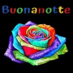 Buonanotte