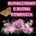 Buona
notte!