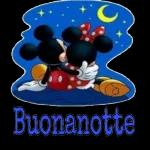 Notte Notte
