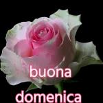 Buon Giorno