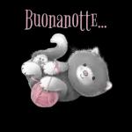 ZZZ Rose Buonanotte