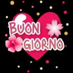 Buona
dolce
eb
Notte
BRINGTONES
buona Noce
e Rifles d
