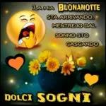 buonanotte 💗