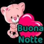 buonanotte 💗