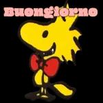 Buongiono,eccomi qua