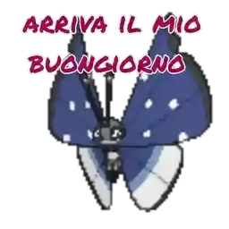 farfalle animate