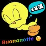 ZZZ Rose Buonanotte