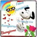 BUONA DOMENICA
