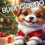 1 GENNAIO Felice Anno Nuovo BUONGIORNO