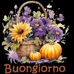 Buongiorno