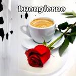  Buongiorno
