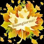 Buona Notte