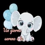 Un buongiorno per te