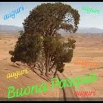 auguri Buona Pasqua auguri auguri auguri auguri