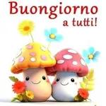 Avviso：Buon domenica!