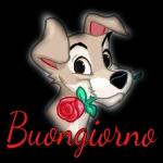 buon giorno 