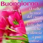 Buongiorno