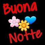 buonanotte con la serenità 🤫