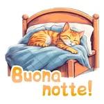 Buona Notte
