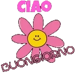 Un Abbraccio Virtuale 🤗❤️