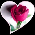 Amore Infinito 💖✨