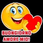 amore mio 