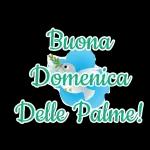 Buona domenica delle Palme!
