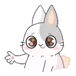 cari animali