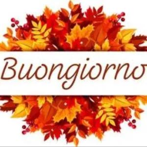 Buongiorno - getsticker.com