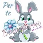 Buongiorno