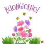 Buon Giorno