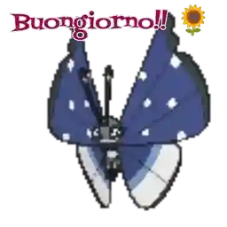 natale🎅🤶🧑🏻‍🎄