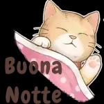 Buongiorno