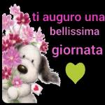 buongiorno bacioni 😚