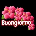 fiori stickers🌸🌸