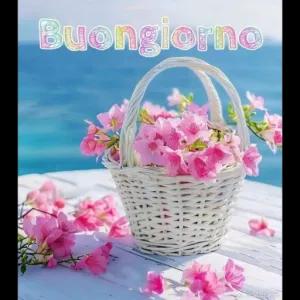 Buongiorno - getsticker.com