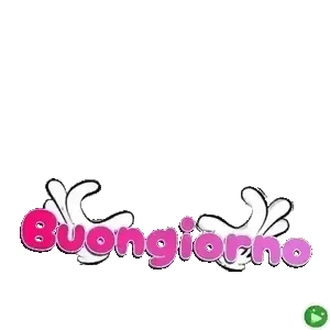 owONZz