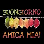 BUONA
Notte
