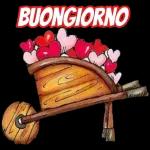 BUONGIORNO