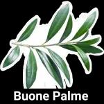 Buone Palme
