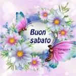 1 Oggi è così... Pioggia Il ranocchio buongiorno