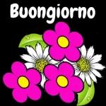 BUONGIORNO