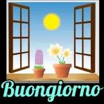 buonanotte