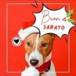 buon sabato a tutti!