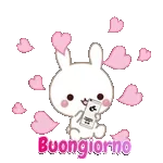 buona notte