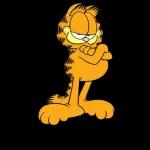 Va Bene,notte