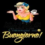 come scusa?