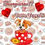 Buon
Pomeriggio