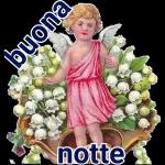 buona
notte