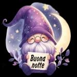 BUONA NOTTE